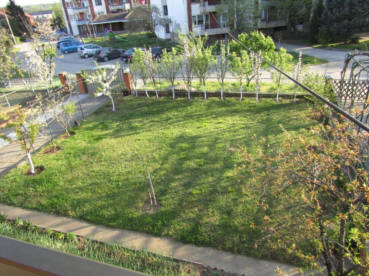 Apartman Milena Kladovo Exterior foto